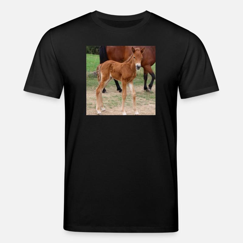 Affiche Cheval Cheval - T-shirt bio CREATOR Stanley/Stella Unisexe - noir