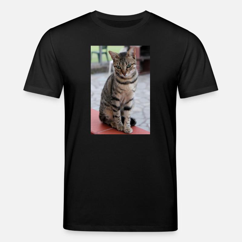 Chat Chaton Poster Chat Poster - T-shirt bio CREATOR Stanley/Stella Unisexe - noir