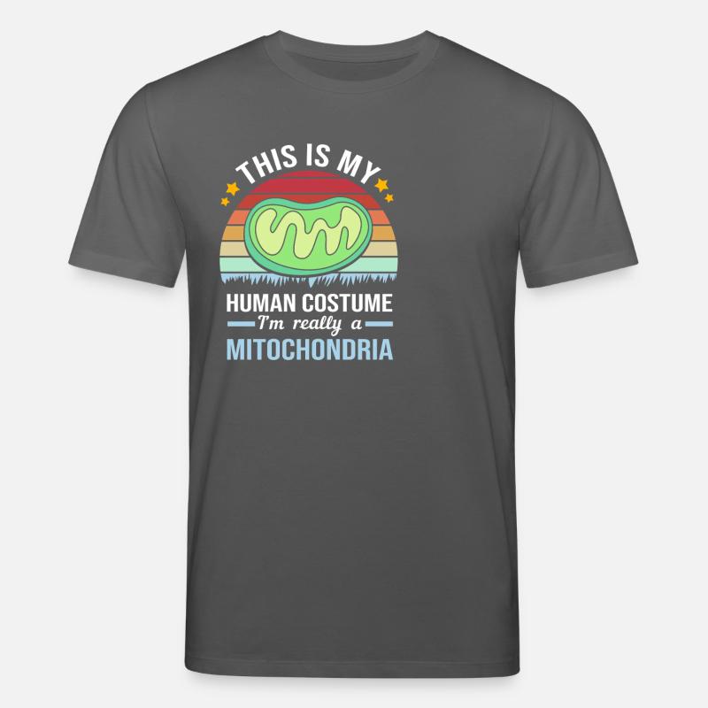 Molekül Strukturformel - Stanley/Stella Unisex Bio-T-Shirt CREATOR  - Anthrazit