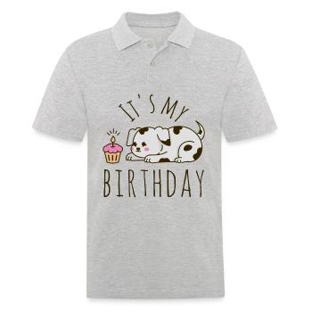 Es ist mein Geburtstag Hund - Männer Poloshirt - Grau meliert - Vorne - Kai (181cm)