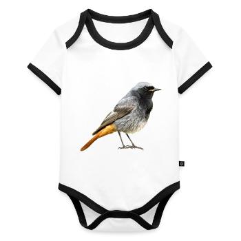 Redtail Robin - Organic Baby Contrasting Bodysuit - white/black  - Front