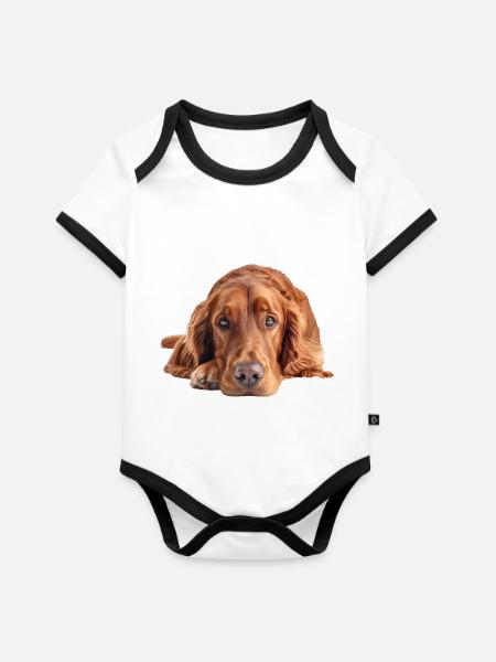 Irish Setter - Baby Bio-Kurzarm-Kontrastbody - Weiß/Schwarz 