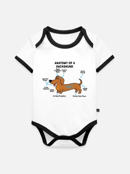 Anatomie Eines Dackel - Baby Bio-Kurzarm-Kontrastbody - Weiß/Schwarz 