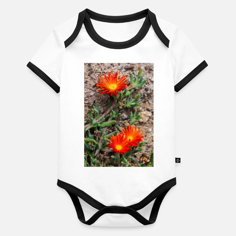 trailing Iceplant hardy iceplant Delosperma Organic Baby Contrasting Bodysuit