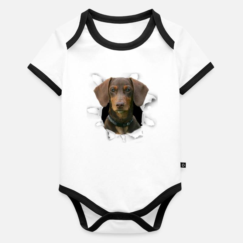 Teckel Chien - Teckel Body Bébé bio contrasté manches courtes
