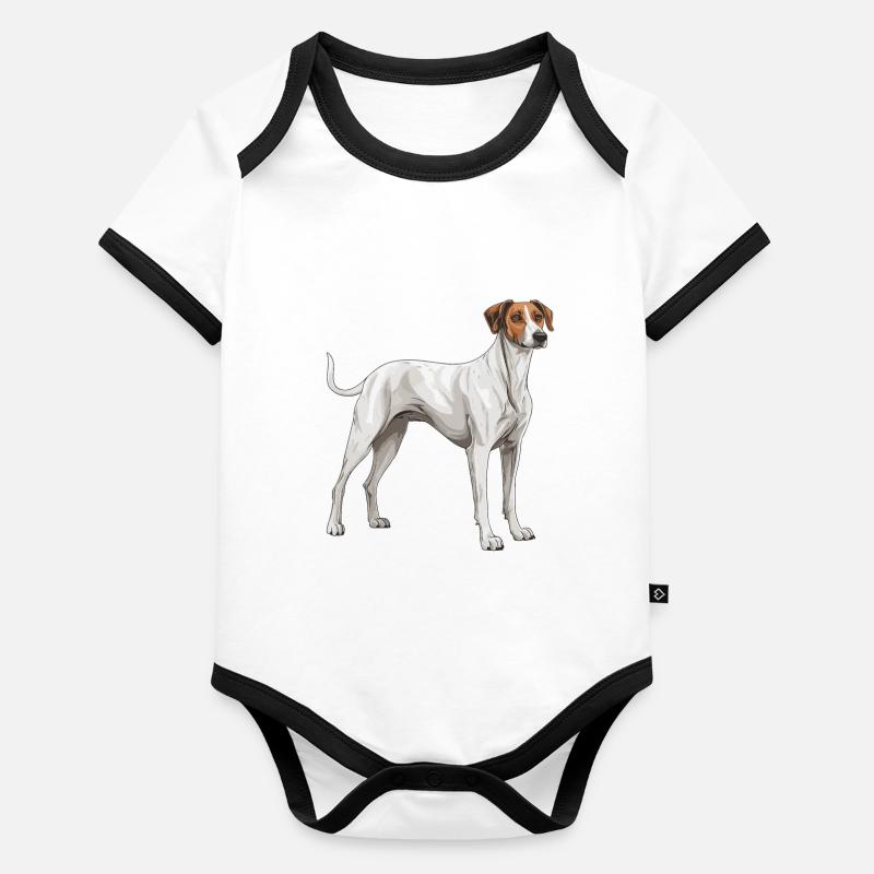 Chien lévrier Body Bébé bio contrasté manches courtes