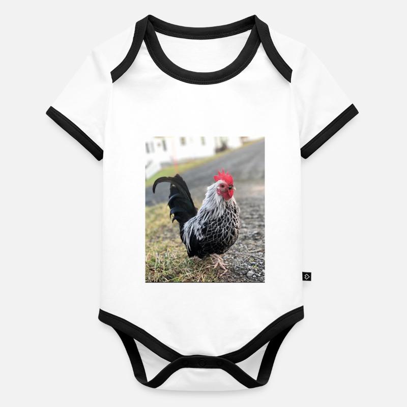 Coq Body Bébé bio contrasté manches courtes