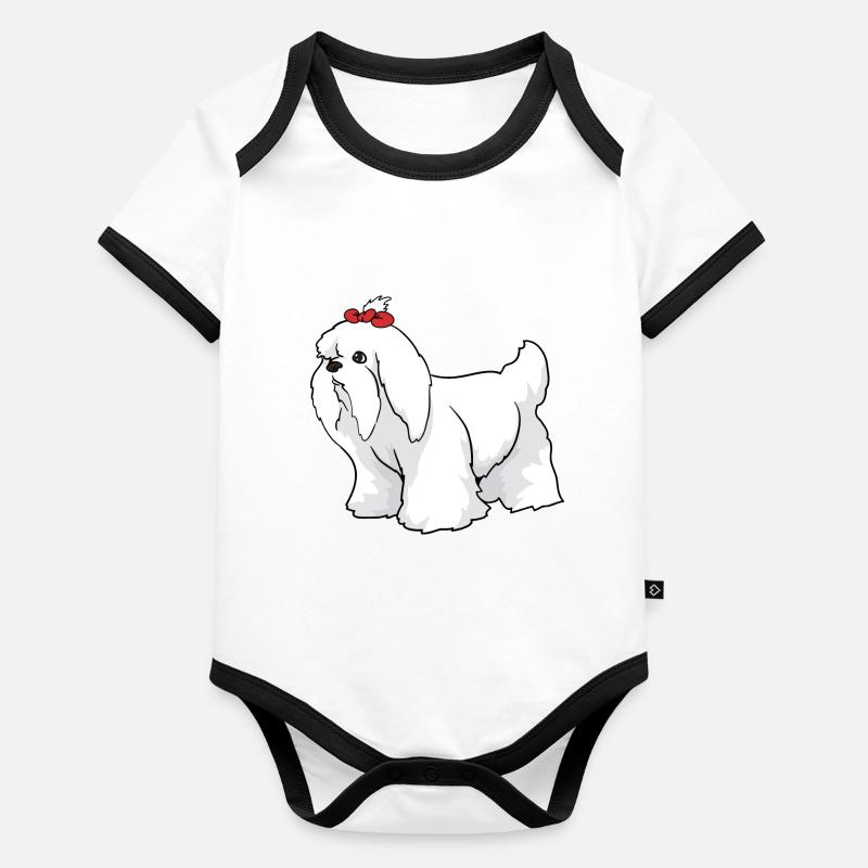 chien maltais Body Bébé bio contrasté manches courtes