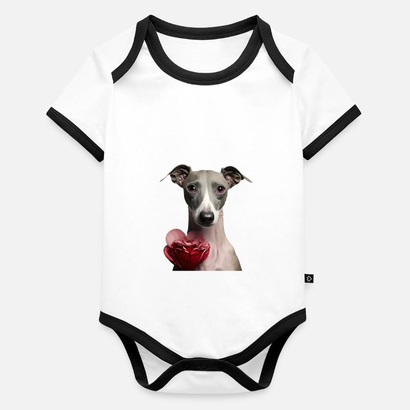 Lévrier italien Saint-Valentin Body Bébé bio contrasté manches courtes