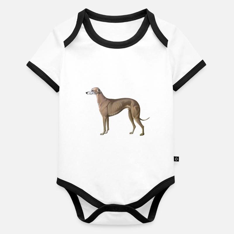greyhound Organic Baby Contrasting Bodysuit
