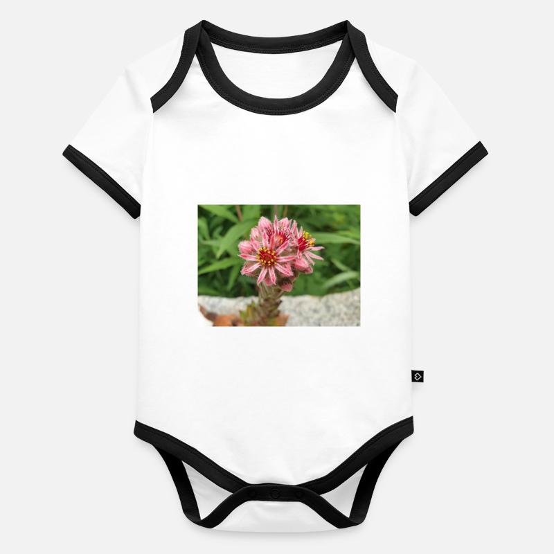 liveforever also hen and chicks Sempervivum Organic Baby Contrasting Bodysuit