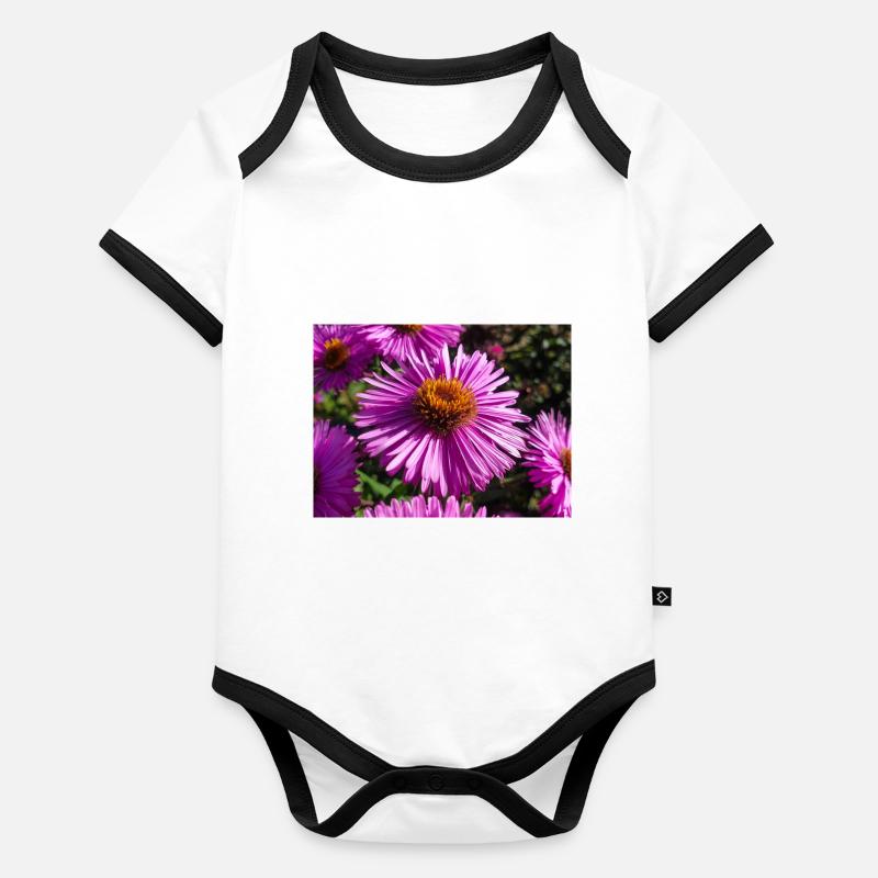 Italienische Gänseblümchen (auf Deutsch Berg-Aster Aster amellus Baby Bio-Kurzarm-Kontrastbody