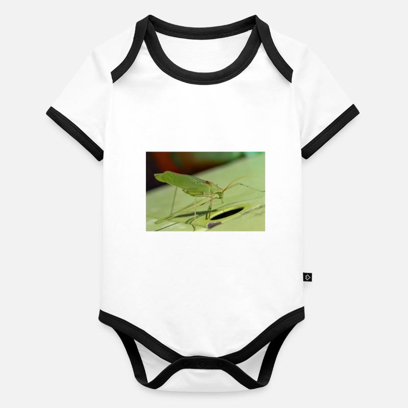 Grillon de Krauss Isophya kraussii Body Bébé bio contrasté manches courtes