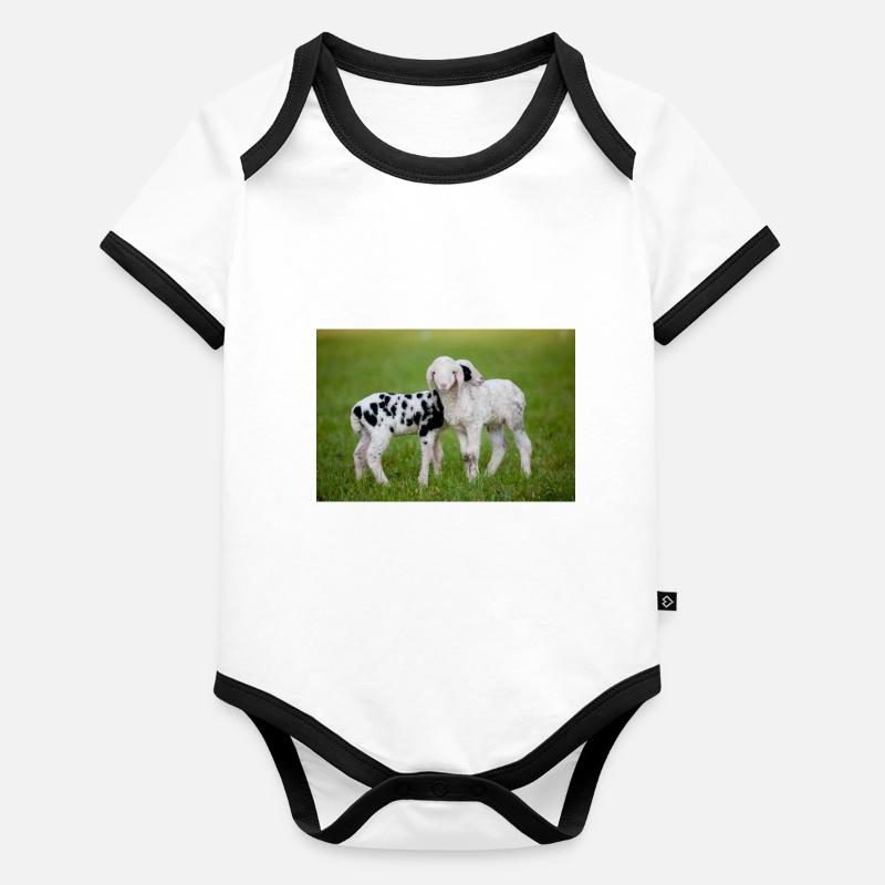 Agneaux Noir et Blanc Body Bébé bio contrasté manches courtes