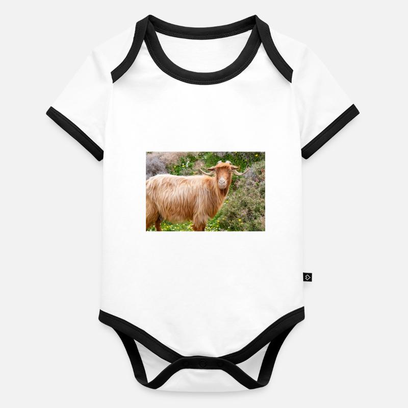 Mountain Goat in the national park Park Λίμνη Συμπ Organic Baby Contrasting Bodysuit
