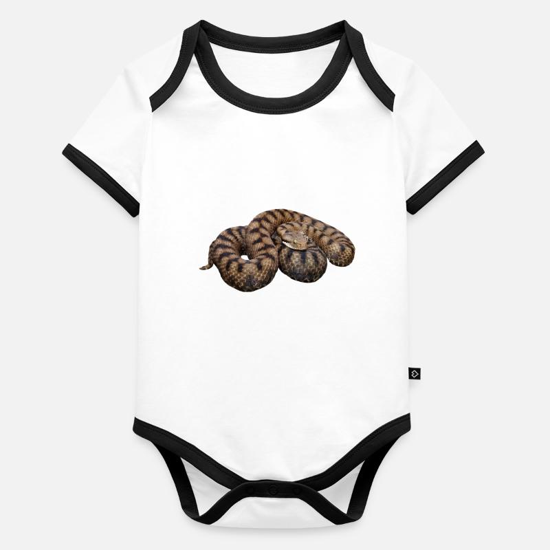 vipère am431 Body Bébé bio contrasté manches courtes
