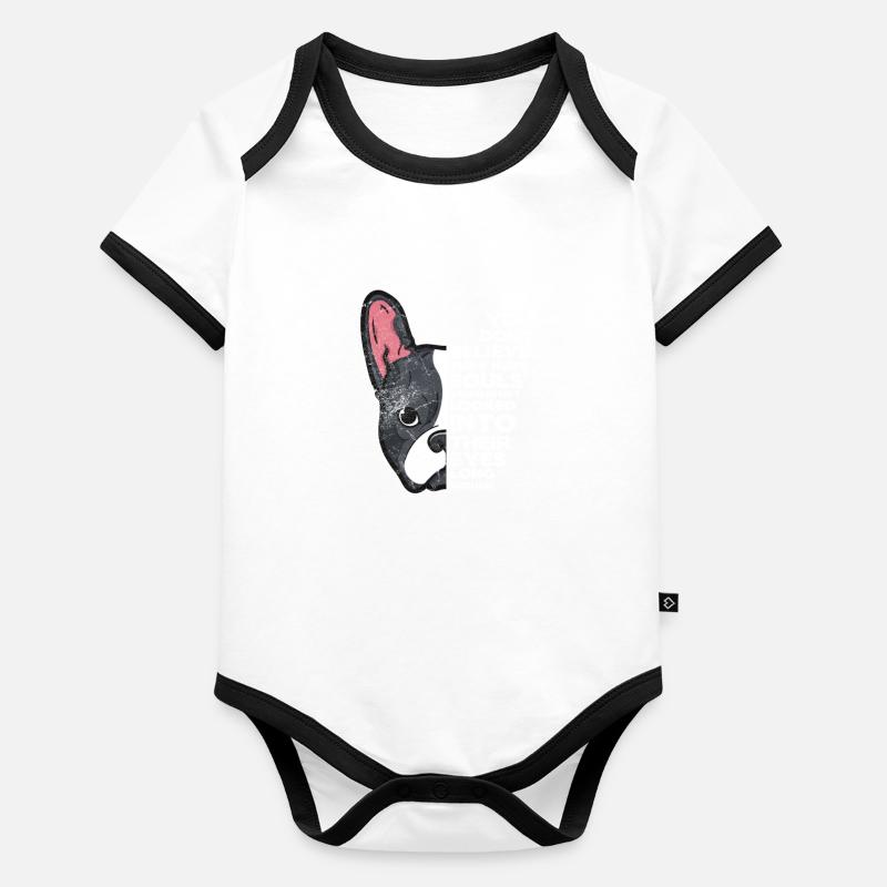 Boston Terrier Body Bébé bio contrasté manches courtes