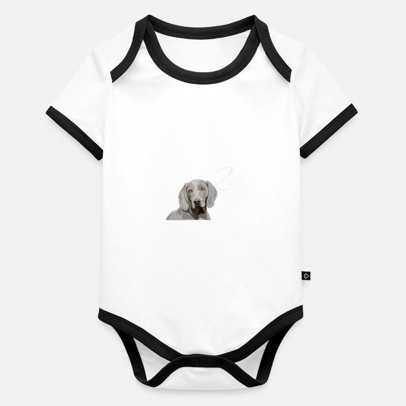 Weimaraner - 2. Geburtstag Baby Bio-Kurzarm-Kontrastbody