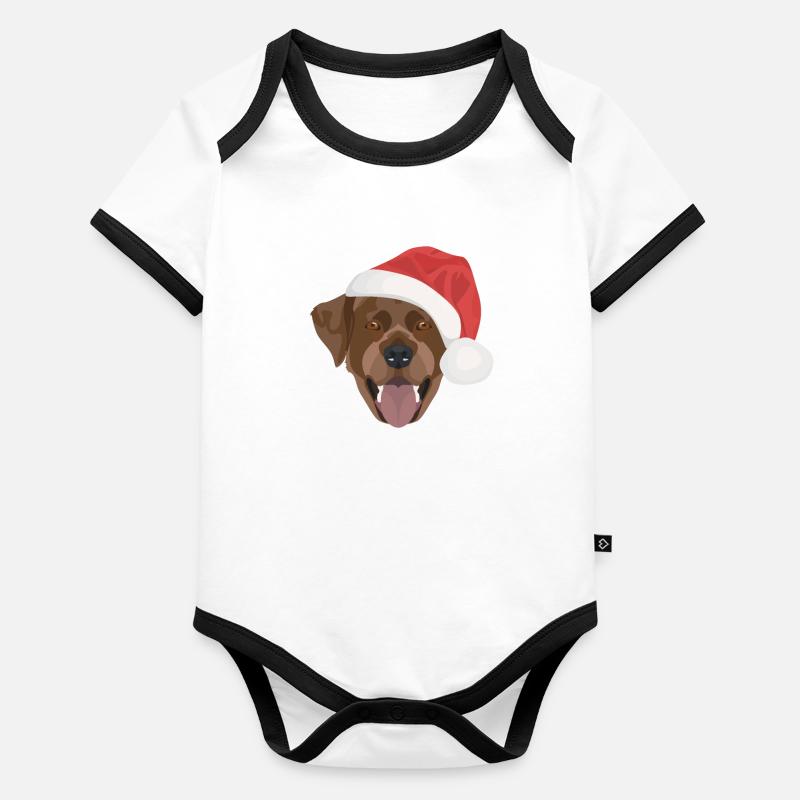 Noël du Labrador Body Bébé bio contrasté manches courtes