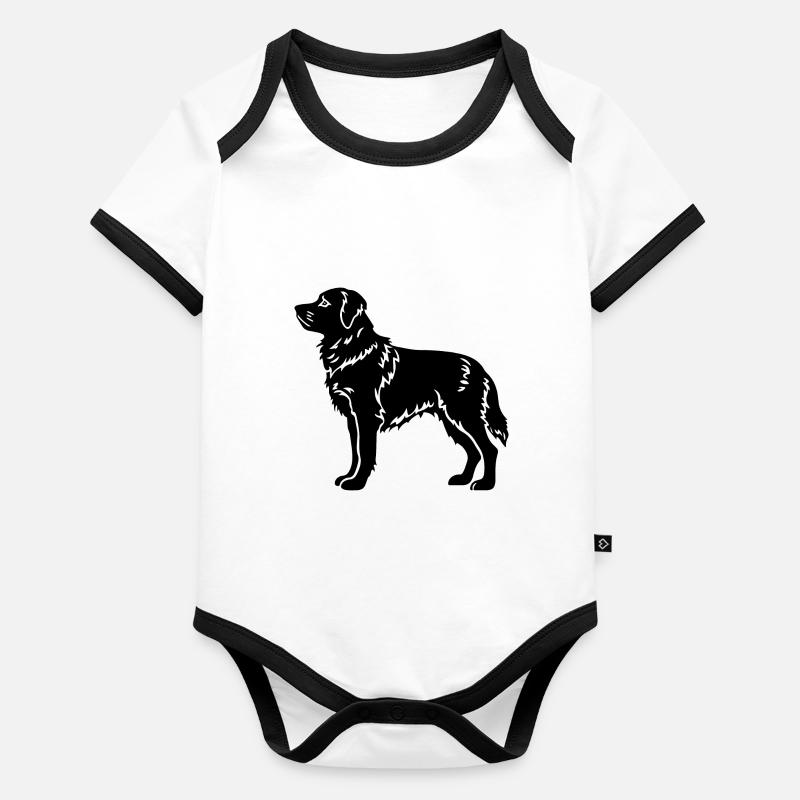 Chien samoyède Body Bébé bio contrasté manches courtes