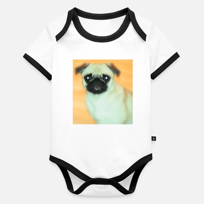 Niedlicher Mops mit Ausdrucksvollblick Baby Bio-Kurzarm-Kontrastbody