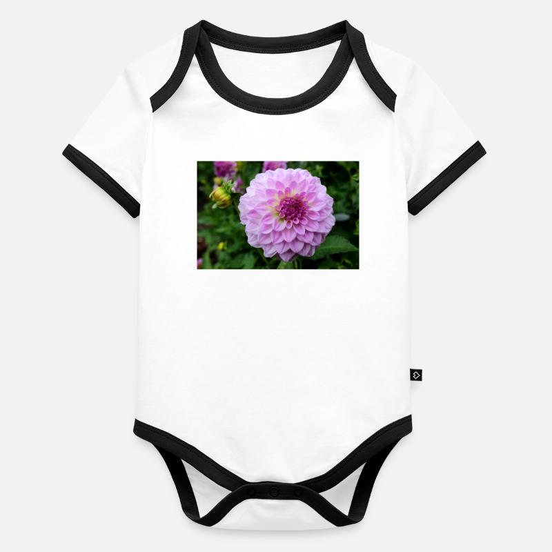 Dahlia rose rose fleur, fleur Body Bébé bio contrasté manches courtes