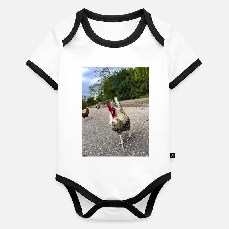 Are you a Chicken?? Organic Baby Contrasting Bodysuit