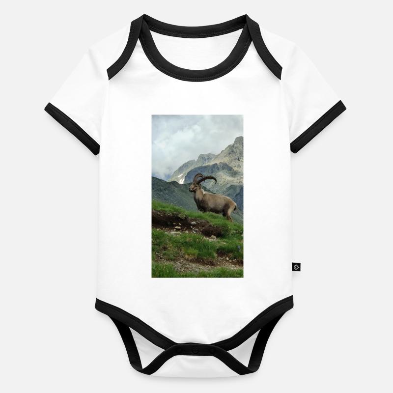Ibex Organic Baby Contrasting Bodysuit