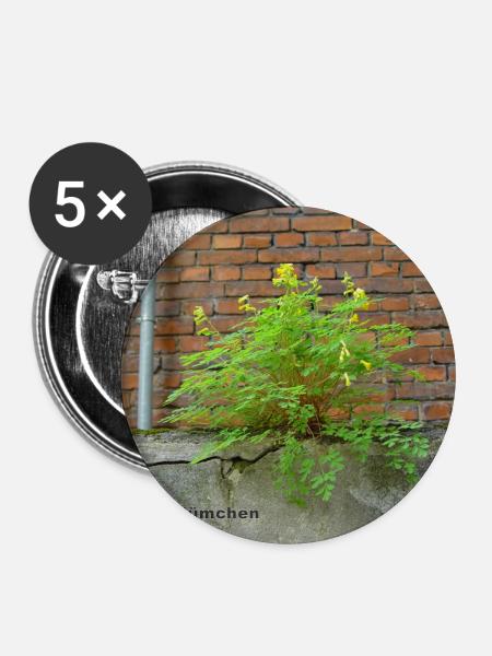 Mauerblümchen am Mauerwerk - Buttons mittel 32 mm (5er Pack) - Weiß