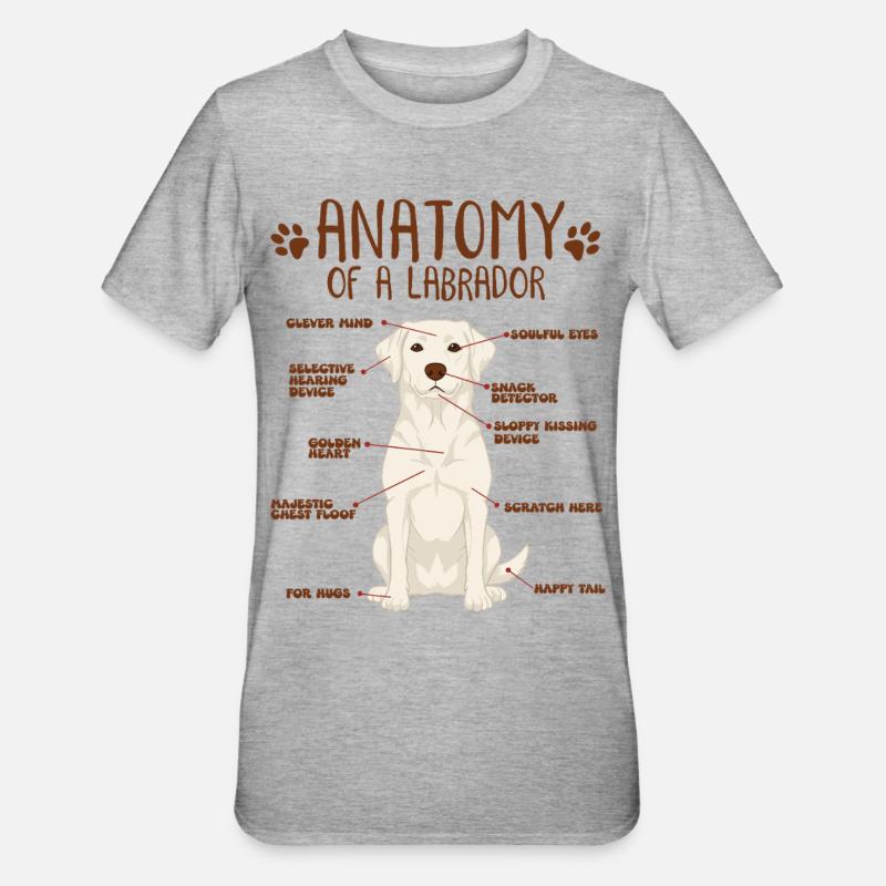 Anatomie d’un labrador blanc - T-shirt polycoton Unisexe - gris chiné