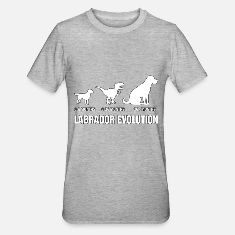 Évolution du Labrador - T-shirt polycoton Unisexe - gris chiné