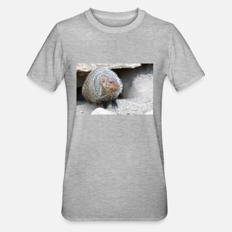 Gebänderte Manguste oder Zebramanguste - Unisex Polycotton T-Shirt - Grau meliert