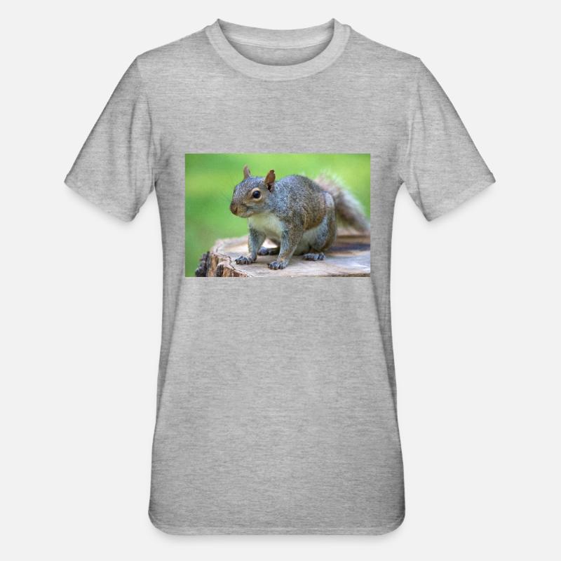 Écureuil gris Grauhörnchen Sciurus carolinensis - T-shirt polycoton Unisexe - gris chiné