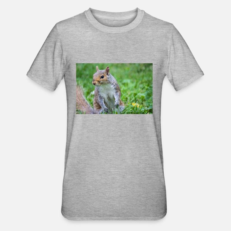 Écureuil gris Grauhörnchen Sciurus carolinensis - T-shirt polycoton Unisexe - gris chiné