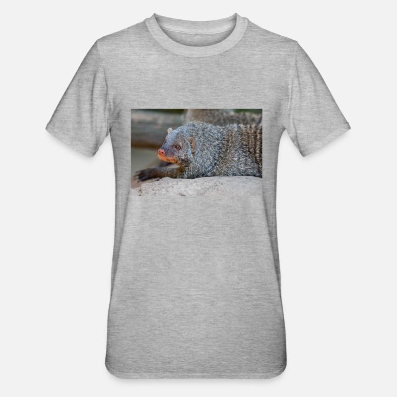 Gebänderte Manguste oder Zebramanguste Zebramanguste - Unisex Polycotton T-Shirt - Grau meliert