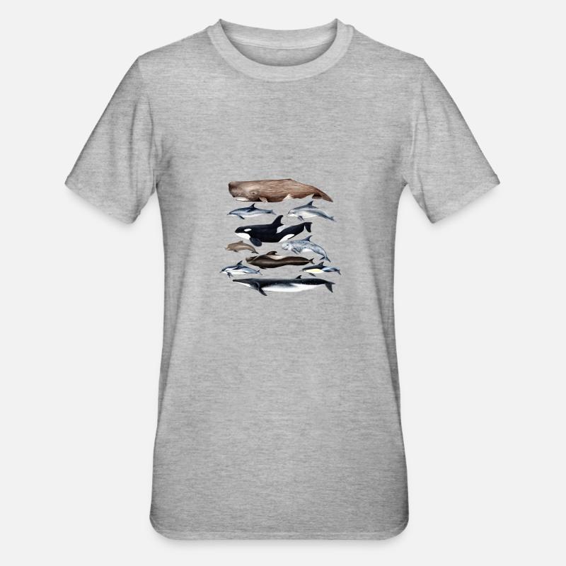 Cétacés Cétacés baleines et Delfines - Cétacés - T-shirt polycoton Unisexe - gris chiné
