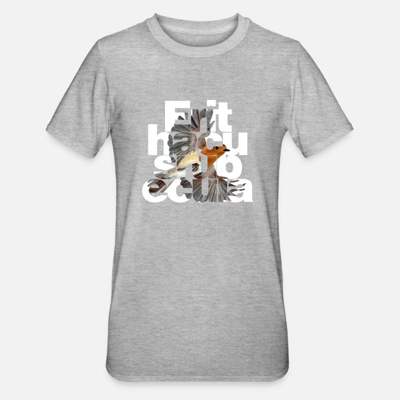 Erithacus rubecula - Robin - Unisex Polycotton T-Shirt - heather grey