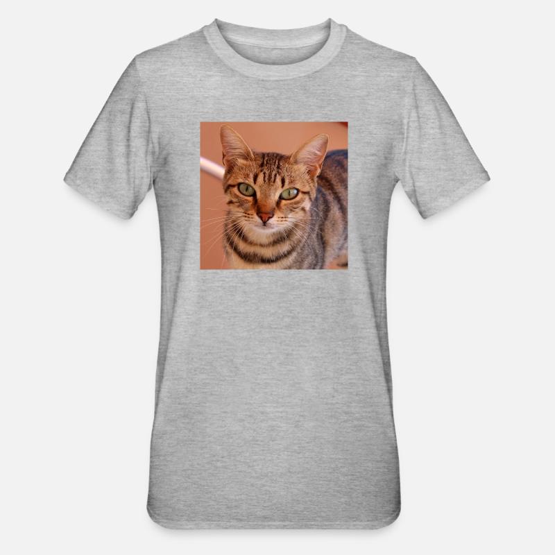Chat chaton affiche chat carré affiche - T-shirt polycoton Unisexe - gris chiné