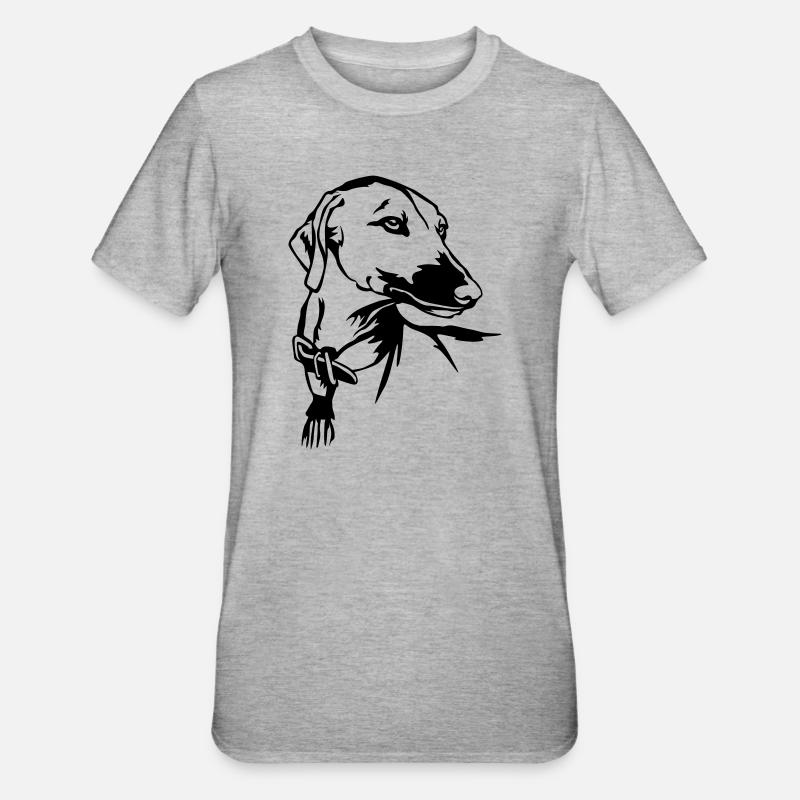 Chef d’Azawakh - T-shirt polycoton Unisexe - gris chiné