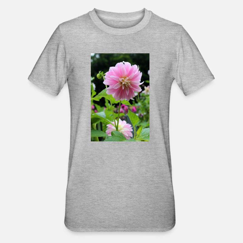 Dahlia rose rose fleur, fleur - T-shirt polycoton Unisexe - gris chiné