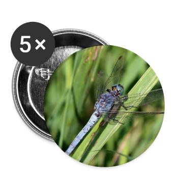 Libellen Poster Blaupfeil Geschenk - Buttons klein 25 mm (5er Pack) - Weiß - Vorne