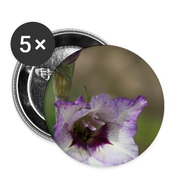 Gladiolus – starch in bloom - Buttons small 1''/25 mm (5-pack) - white - Front