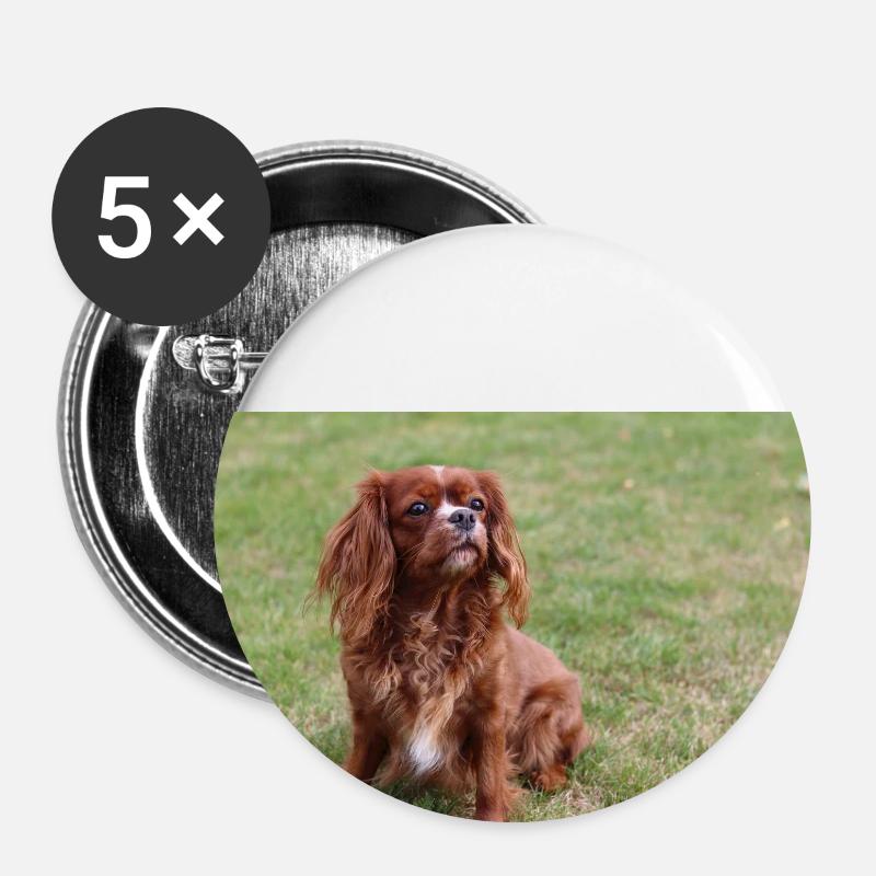 cavalier king charles spaniel sitting - Buttons small 1''/25 mm (5-pack) - white
