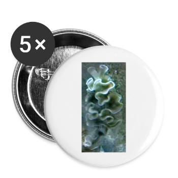 Meeres Schnecke - Buttons klein 25 mm (5er Pack) - Weiß - Vorne