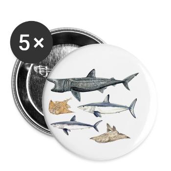 Sharks - Sharks - Requins - Buttons small 1''/25 mm (5-pack) - white - Front