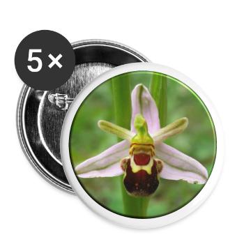 The bee orchid is a native orchid - Buttons small 1''/25 mm (5-pack) - white - Front