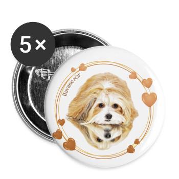 Bichon Havanais - Lot de 5 petits badges (25 mm) - blanc - Devant