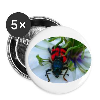 Der Bienenkäfer oder Bienenwolf ist ein Räuber - Buttons klein 25 mm (5er Pack) - Weiß - Vorne