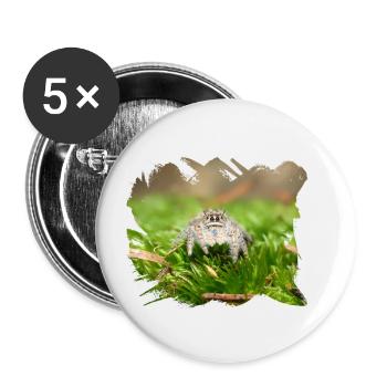 Phidippus texanus jumping spider, spring spinne. - Lot de 5 petits badges (25 mm) - blanc - Devant