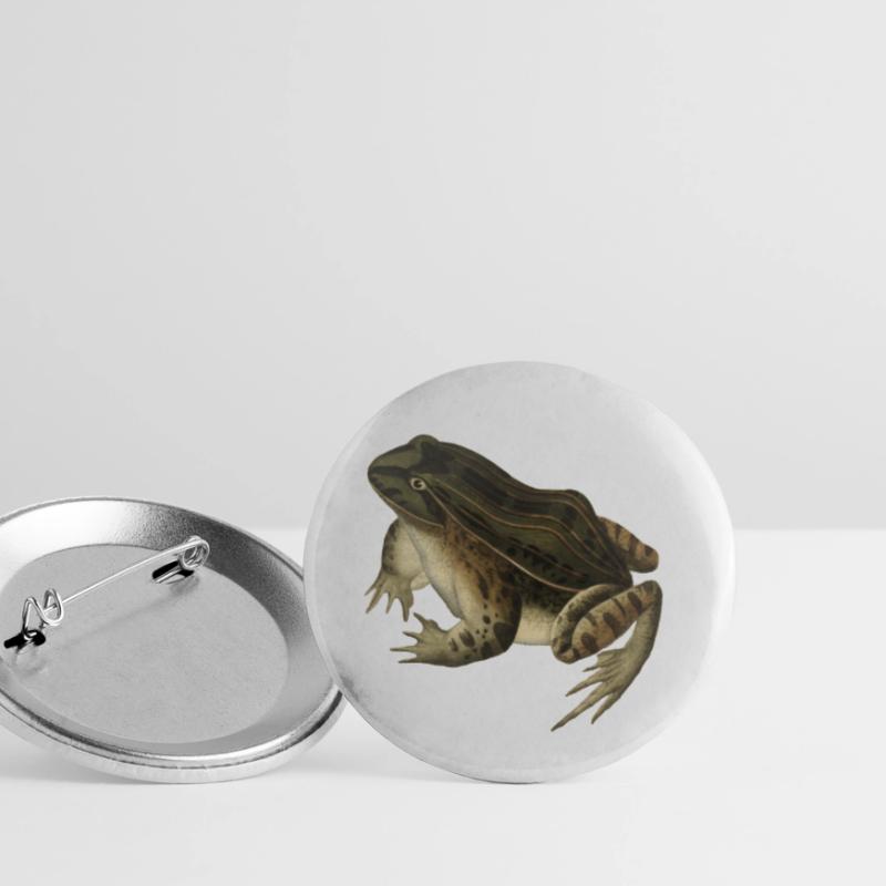 frog toad toad frog illustration drawing vintage Buttons small 1''/25 mm (5-pack)